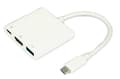 Pikkukuva 1 / 2: [LCS] It Works USB Type C - HDMI 4K USB 3. -moniporttisovitin