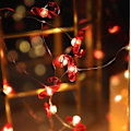 Miniatyrbillede 1 af 2: Twinkle Star 50 LED Julelyskæde color4
