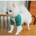 Miniatyrbillede 4 af 5: Kæledyr Squid Game Kat Hund Hættetrøje Varmt Kostume Tøj White L