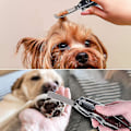 Miniatyrbillede 2 af 2: Opgraderede Hundeklo Saks - 3 I 1 Foldbar Hundeklo Sikker Trimmer