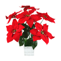 Miniatyrbild 1 av 2: Julblommor, 5 grenar, konstnärlig blomma, festdekorationer för hemmet B-7branch