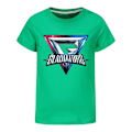 Miniatyrbild 1 av 4: GLADIATORS T-shirt för pojkar Barn Flickor Tecknad Kortärmad Rundhalsad Toppar Barn Pojkar Grafiska T-shirts Green 140cm