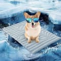 Miniatyrbillede 1 af 6: Varmtsælgende kølemåtte til kæledyr, sommer sovemåtte til hunde, et køligt og åndbart produkt til forebyggelse af hedeslag. blue M