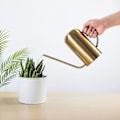 Miniatyrbillede 1 af 5: Vandkande i rustfrit stål - 1,5L metalkande med lang tud for at forhindre spild, perfekt til indendørs og udendørs planter Gold