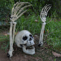 Pikkukuva 1 / 3: Simuloitu Kallokasa Halloween-Koriste Pihalle, Puutarha Halloween-Kallokoriste One head 2 hands