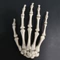 Miniatyrbild 4 av 5: Halloween Decoration, Halloween Ghost Hand Horror Decoration Prop Skeleton Hand C