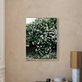 Miniatyrbild 5 av 5: Modeaffisch Rosblomma Fjäder Nordisk Stil Canvasmålning A