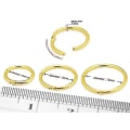 Miniatyrbilde 2 av 2: 9k Solid Hvitgull 6 Mm Klassisk Hengslet Segment Clicker Ring