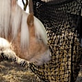 Miniatyrbillede 5 af 5: 1 Stk (Sort) Langsom Foder Hønet Høfoder Højsække til Heste Ged Stald Trailer Hestefodring Tilbehør