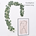 Miniatyrbillede 1 af 5: 2M Eucalyptus Grønt Eucalyptus, Silke Grønt Eucalyptus Blade Ranker, Falsk Eucalyptus med Falske Blade