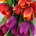 Miniatyrbilde 3 av 5: 3-farget blomsterkrans 20 tommers tulipan krans blomsterkranser for inngangsdør, vår silkekrans med grønne blader for vindu