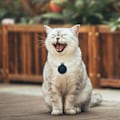 Miniatyrbillede 5 af 5: Bluetooth 5.0 To-vejs Alarm Intelligent Lokations Mobiltelefon Nøgle Tabt Forebyggelse Enhed Mørkeblå