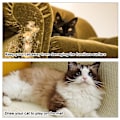 Miniatyrbild 3 av 4: Kattklösmatta, Soffa Kattklösmatta Med 2 Fack Kattklös Möbler Klös Skydd Soffa Kattklösmatta