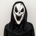 Halloween Decorations, Halloween Mask Skull Scary Mask(B)