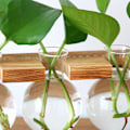 Miniatyrbillede 4 af 5: Plante Glas Vase, Bordplade Vase Retro Høj Borosilikat Glas God Luftgennemtrængelighed Glas Plantebeholder til Kontor til Hydroponisk Plante
