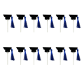 Miniatyrbilde 1 av 5: 12 stk Cupcake Topperer Gradering Dessert Topperer Gradering Dessert Dekorasjon Fest Frukt Plukk 202 Blue 10X3.8X3.8CM