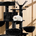 Miniatyrbillede 1 af 9: tectake Kradsetræ Gismo -  sort Black