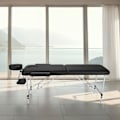 Miniatyrbillede 9 af 10: tectake Massagebriks med 2 zoner, polstring, massageruller og aluminiumsstel -  sort Black