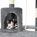 Miniatyrbillede 7 af 11: tectake Kradsetræ Stokeley -  grå Grey