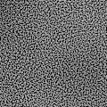 Miniatyrbillede 6 af 10: tectake Fuglebur 131cm Graphite grey