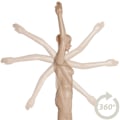 Miniatyrbillede 5 af 11: tectake Mannequin - kvinde kvinde Beige