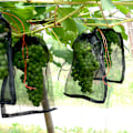 Miniatyrbillede 2 af 5: 10*15 cm 100 stk nylon mesh pose, frøpose, frø iblødsætningspose, insektsikker pose, frugttræspose