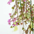 Miniatyrbild 5 av 5: Konstgjorda växter Murgröna Vine Konstgjord växt inomhus utomhus konstgjord blomma för vägg- och trädgårdsdekoration-80 cm Set med 3 Magenta