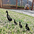 Miniatyrbillede 3 af 5: Family Crafts Andehave ornament (sort),