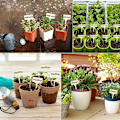 Miniatyrbillede 5 af 5: Træmærker til sukkulentplanter Havebrugsblomstmærkeskilte (50 stk træfarve),