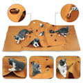 Miniatyrbillede 3 af 4: Katte træningsmåtte