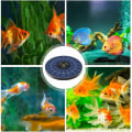 Miniatyrbillede 4 af 5: Solar iltpumpe til dam med luftslange og boblesten fiskedam lufter Ilt til fuglebad springvand Lille dam