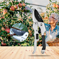 Miniatyrbilde 4 av 5: Hagesakser rett blad i stål og titan. Blomstersaks Cutting Bypass Tørr ved. Ergonomiske håndtak