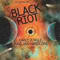 Various Artists Black Riot Early Jungle Rave and Hardcore CD (2020) CD CD