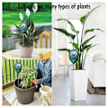 Miniatyrbillede 2 af 4: XLUX lang probe hygrometer til brug i dyb jord, vandindikatorsensor, hygrometer til store potteplanter, blomster, garde