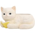 Miniatyrbild 1 av 5: Resin simulation cat (läs cat) Amerikansk lantlig suckulent blomkruka,