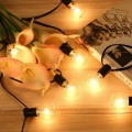 Miniatyrbilde 2 av 5: Utendørs Fairy Lights, koblebare Fairy Lights 7.6M 25 G40 pærer med 3 reservepærer for festhage bryllup uteplass