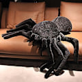 Miniatyrbilde 3 av 5: Sort edderkopp plysj dekorative store øyne Tarantula utstoppet leketøy