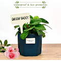 Miniatyrbillede 3 af 5: Træmærker til sukkulentplanter Havebrugsblomstmærkeskilte (50 stk træfarve),