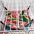 Pikkukuva 4 / 5: Hammock Pet Hammock Nest Double Canvas Hammock Hamster My Neighbor Totoro Ferret Hammock 34 * 34 (vesimeloni)