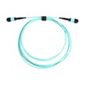 Miniatyrbillede 4 af 5: MPO Patchcord 12 Core OM3 Patchkabel Optisk Kabel Multi Mode OM3 Mpo til 100G 40G Modul 12 Core OM3 Mpo Patchcord B[ht] 3M