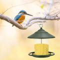 Miniatyrbilde 4 av 5: Villfuglmater, hengende fuglemater, hengende fuglemater i plast for utendørs balkong klar (grønn)