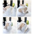 Pikkukuva 2 / 5: Avocado Catnip Ball Syötävät lelut kissoille Hampaiden nuoleminen Hampaiden puhdistus Hammaskissa