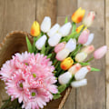 Miniatyrbillede 3 af 5: 30 stk 14 tommer hvide imiterede latex tulipanblomster til bryllupsfest hjemmedekoration