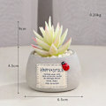 Miniatyrbilde 1 av 5: Simulering potted mini simulering potted sukkulent mikro landskap dekorativ bonsai (grønn liten sukkulent)