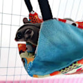 Pikkukuva 2 / 5: Lemmikkien riippumatot Riippusänky Nest Double Layer Canvas Riippumatto Hamsteri Chinchilla Ferret Riippumatto, Pöllö, 34cmx34cm,
