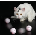 Pikkukuva 5 / 5: Lemmikissan lelu LED valoisa hauska kissanpallo USB lataus sähköpallo Älykäs hauska kissanlelu (vanhanaikainen vaaleanpunainen)