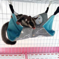 Pikkukuva 2 / 5: Hammock Pet Hammock Nest Double Canvas Hammock Hamster My Neighbor Totoro Ferret Hammock 34 * 34 (Grey Rabbit)