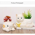 Miniatyrbild 5 av 5: Resin simulation cat (läs cat) Amerikansk lantlig suckulent blomkruka,