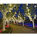 Pikkukuva 2 / 4: Led-pallosidottu valo