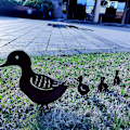Miniatyrbillede 5 af 5: Family Crafts Andehave ornament (sort),